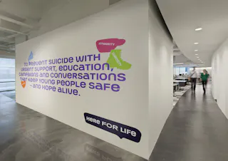Papyrus internal comms installation