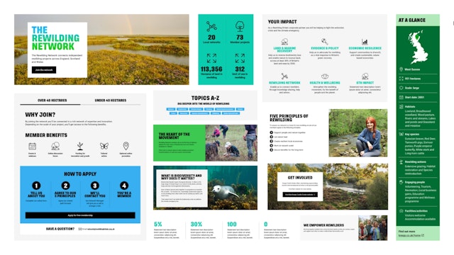 Components of the Rewilding Britain design system