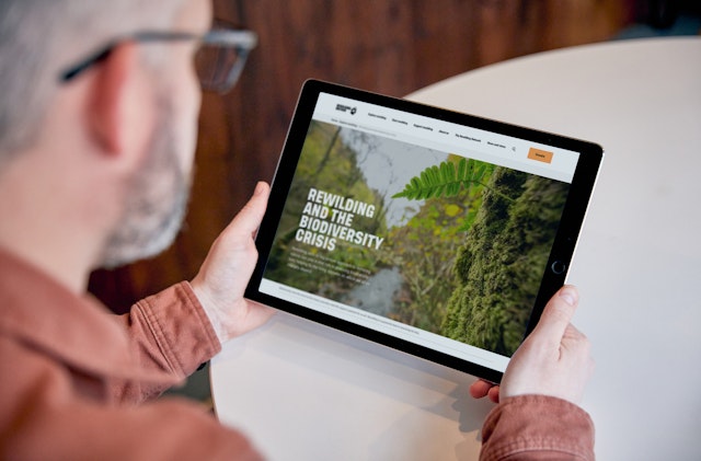 Over the shoulder photograph of a man reading an article on the Rewilding Britain website on an iPad