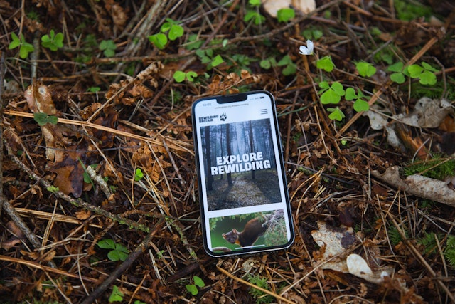 The Rewilding Britain website shown on a device in the environment