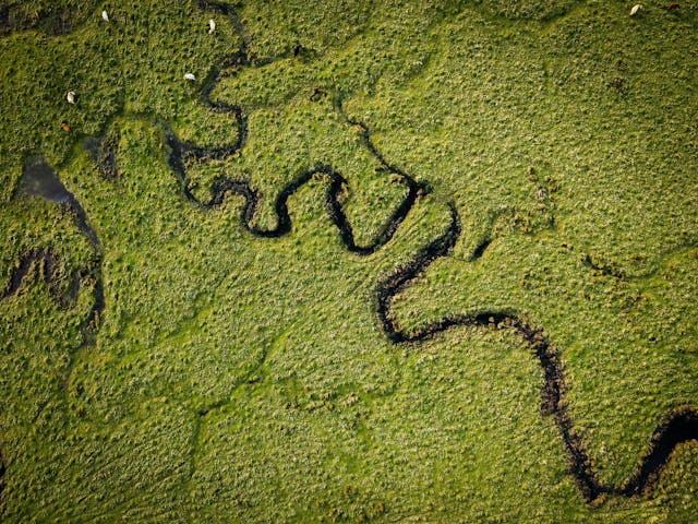 A meandering river photographed from above