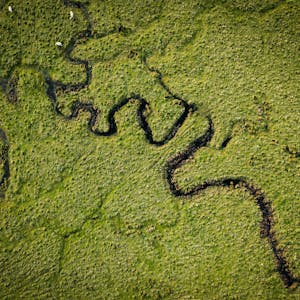 A meandering river photographed from above