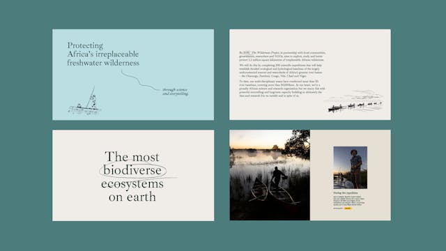 Pages from The Wilderness Project brand book
