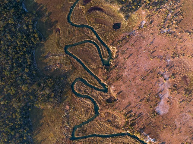 A winding river flows through a landscape with dense green forest on the left and open brown grassland on the right, viewed from above.