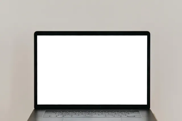 a mockup of the donate page on the Papyrus website