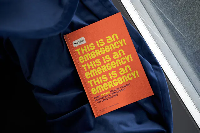 A Papyrus report cover