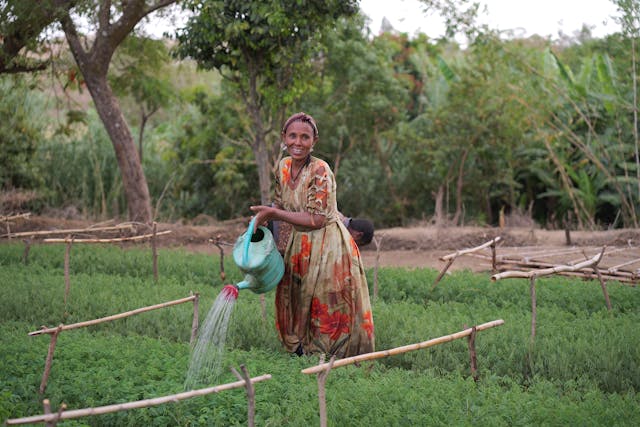 A woman in a red and yellow dress waters seedlings in a tree nursery
