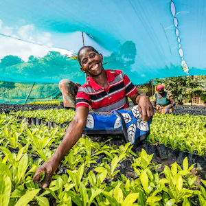 A smiling nursery worker crouches between rows of seedlings, with a blue net canopy above her.